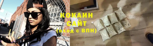 индика Волосово