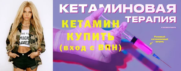 индика Волосово