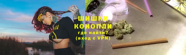 индика Волосово