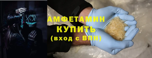 индика Волосово