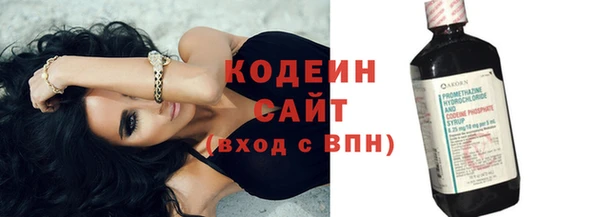 индика Волосово