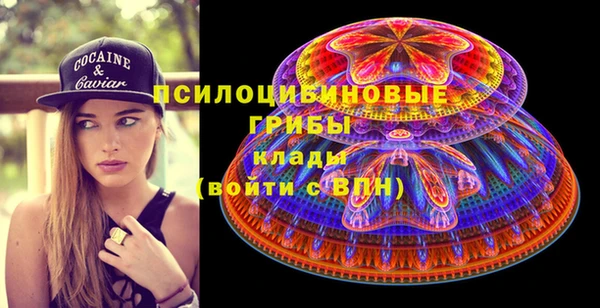 индика Волосово
