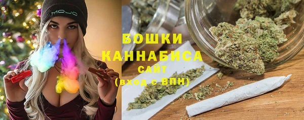 индика Волосово