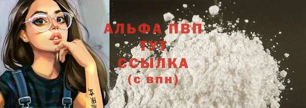 индика Волосово