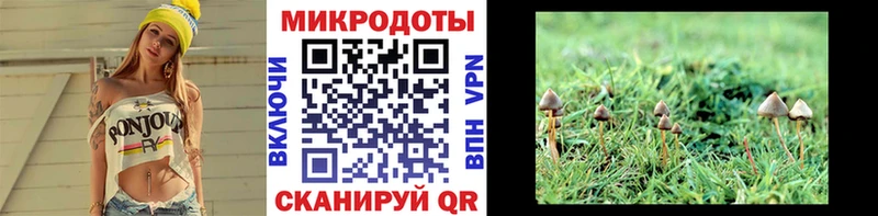 Псилоцибиновые грибы GOLDEN TEACHER  магазин  наркотиков  мориарти наркотические препараты  Черноголовка 